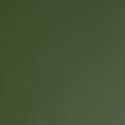 S5498B - Vert Capre Brillant 2